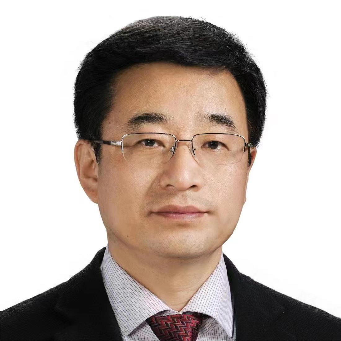 Photo of Maia Chankseliani, PhD