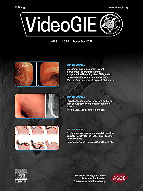 Go to journal home page - VideoGIE