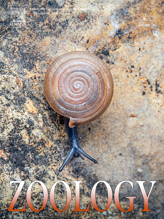 Go to journal home page - Zoology